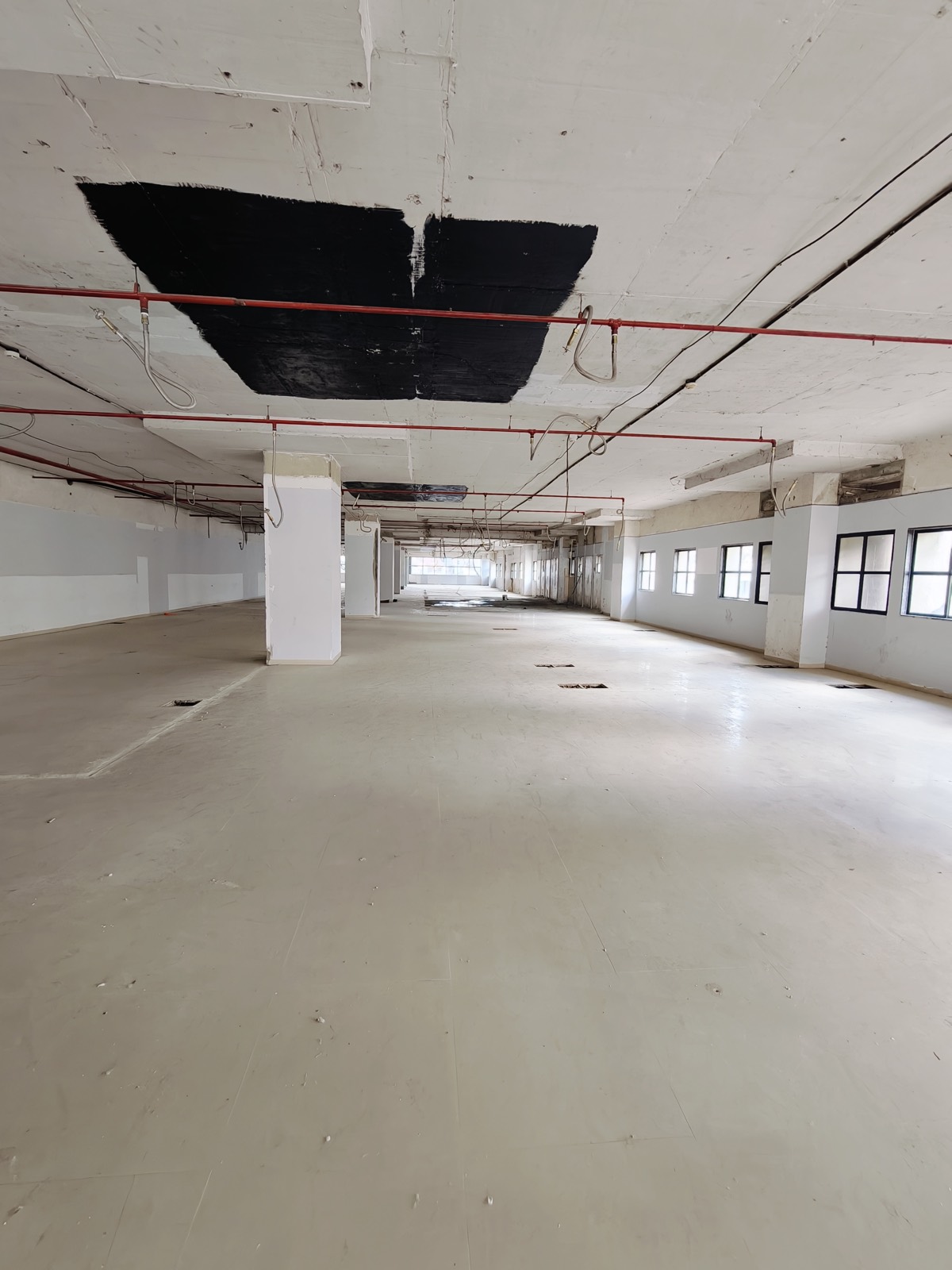 Column grid and windows along the length of the floor